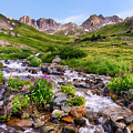 American Basin Wildflowers