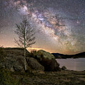 Mistic Tree Under The Stars